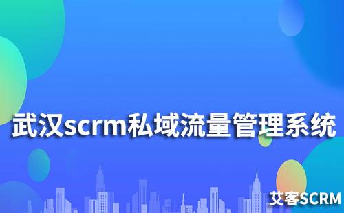 武漢SCRM私域流量管理系統