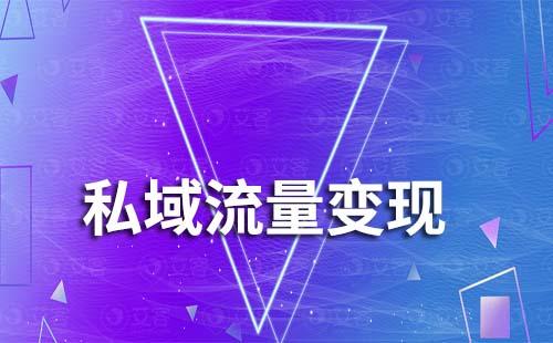 私域流量怎么變現