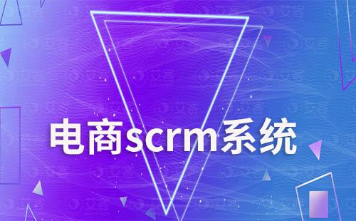 電商scrm系統