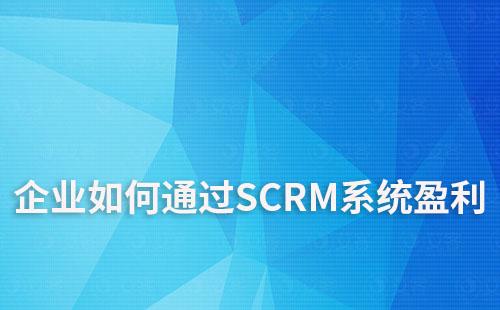 企業如何通過SCRM系統（客戶關系管理系統）盈利