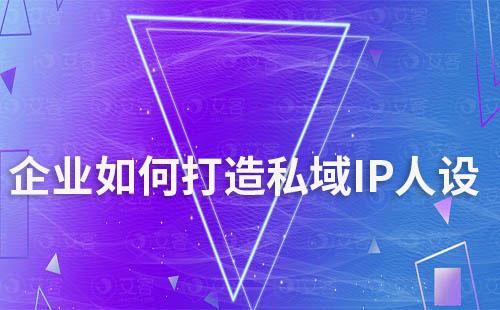 企業如何打造私域IP人設